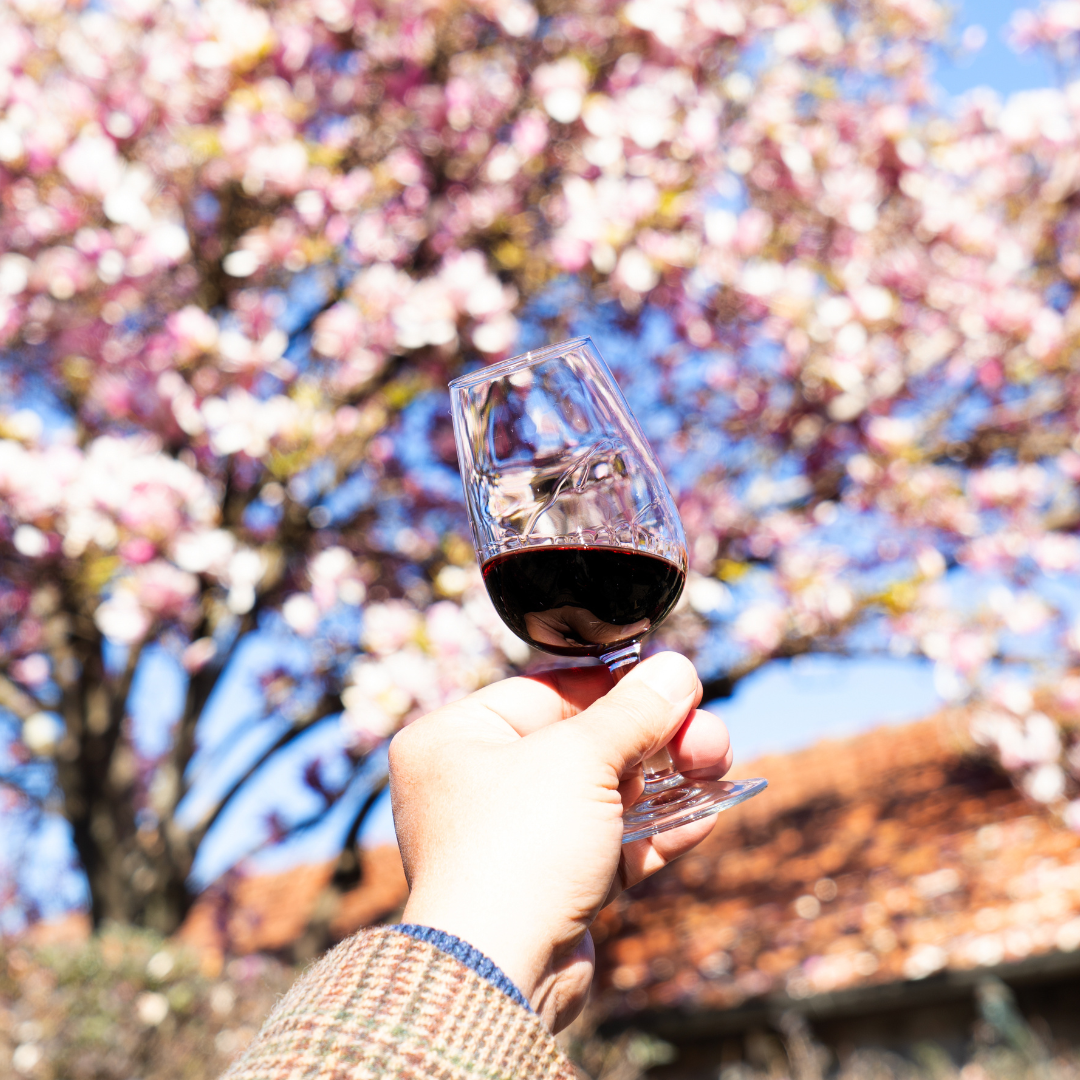 Como é morar em Porto, a cidade do vinho
